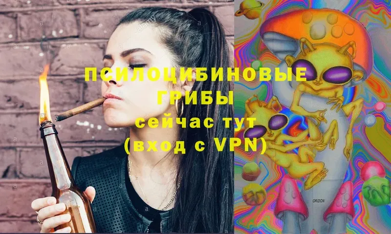 Псилоцибиновые грибы Magic Shrooms Баймак